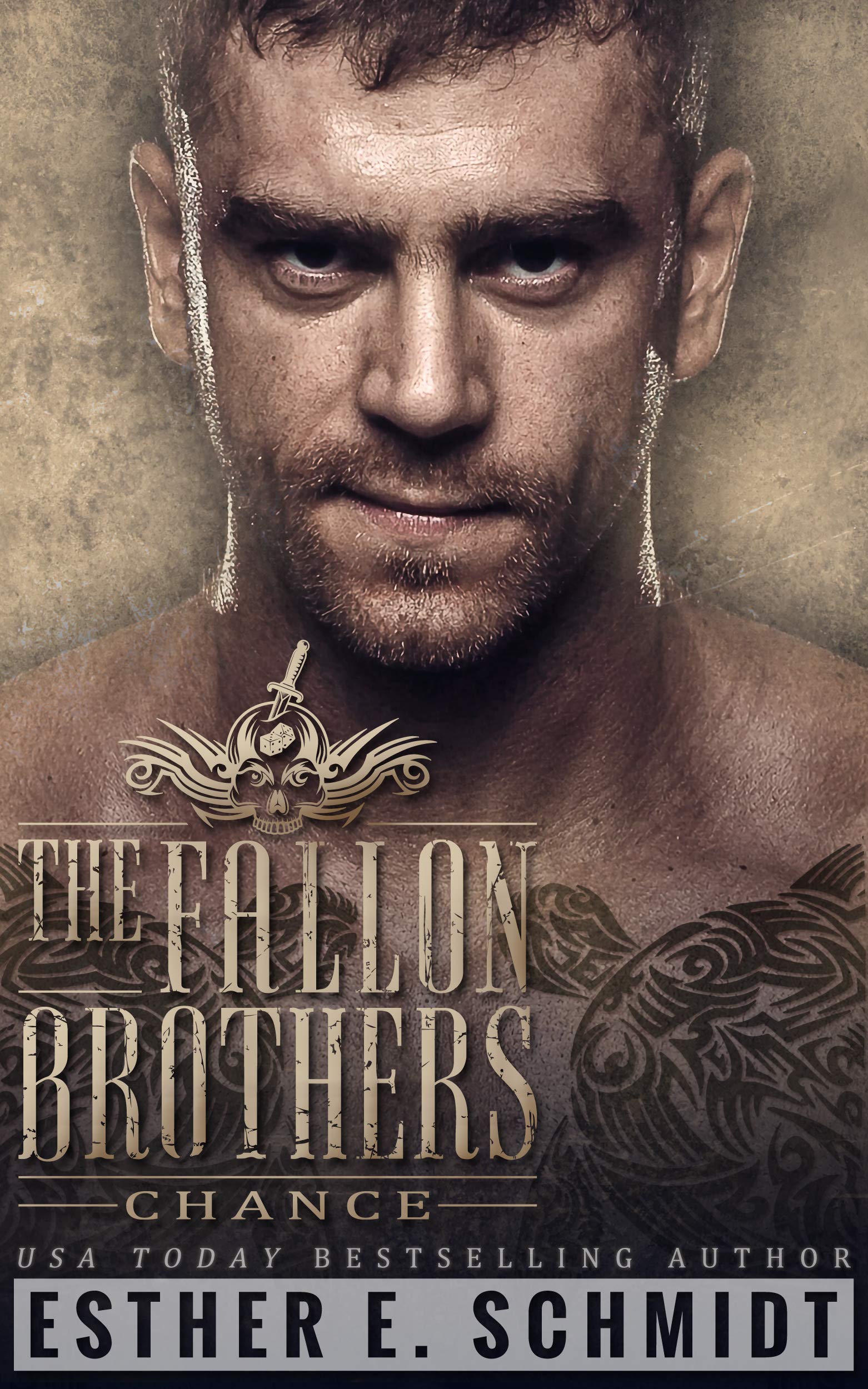The Fallon Brothers book cover 2