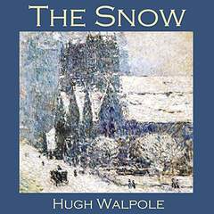 The Snow book cover