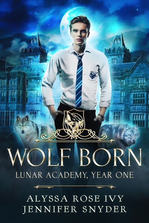 Lunar Academy book cover 1