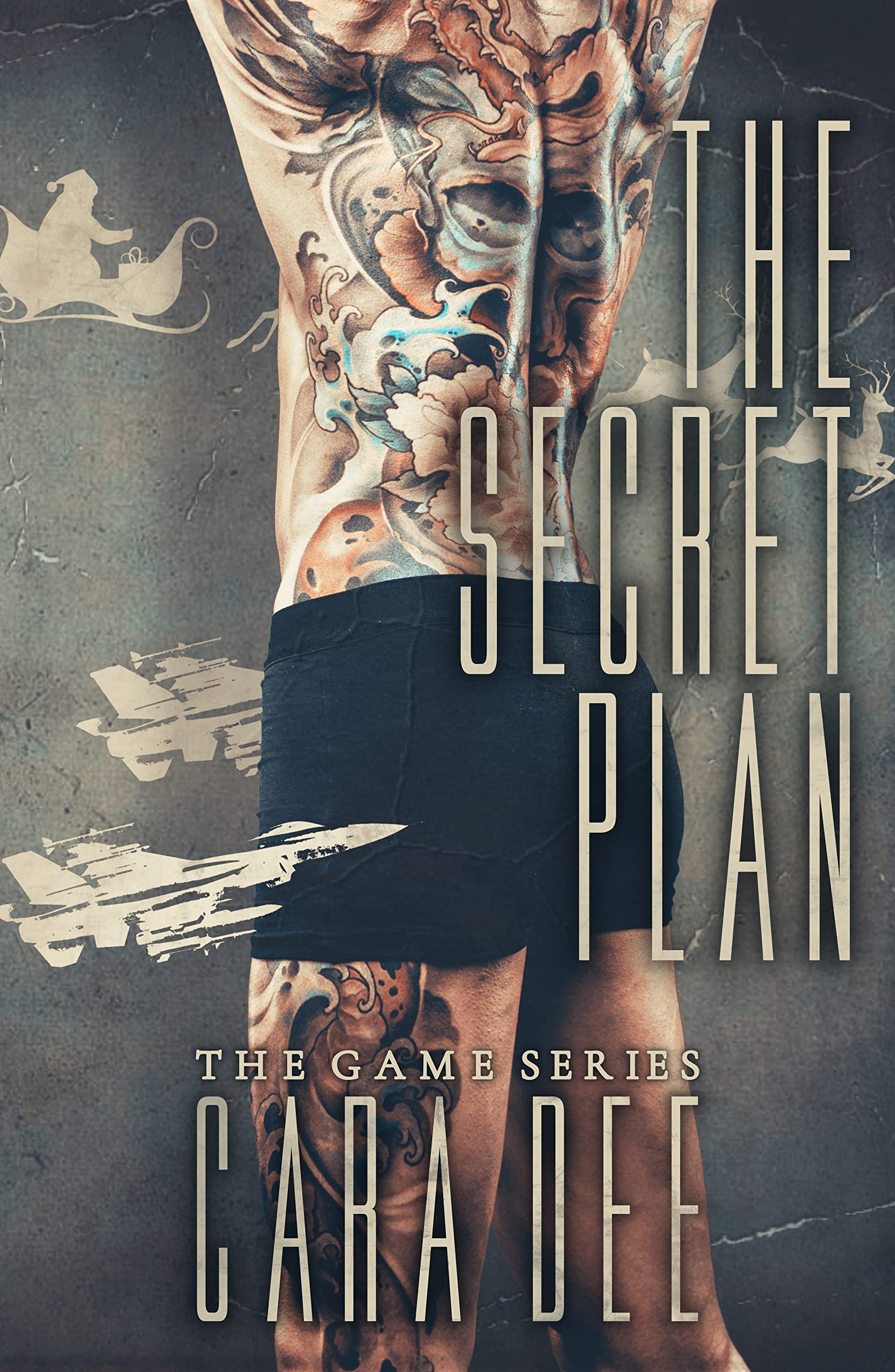 The Secret Plan book cover