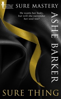 Sure Mastery book cover 2