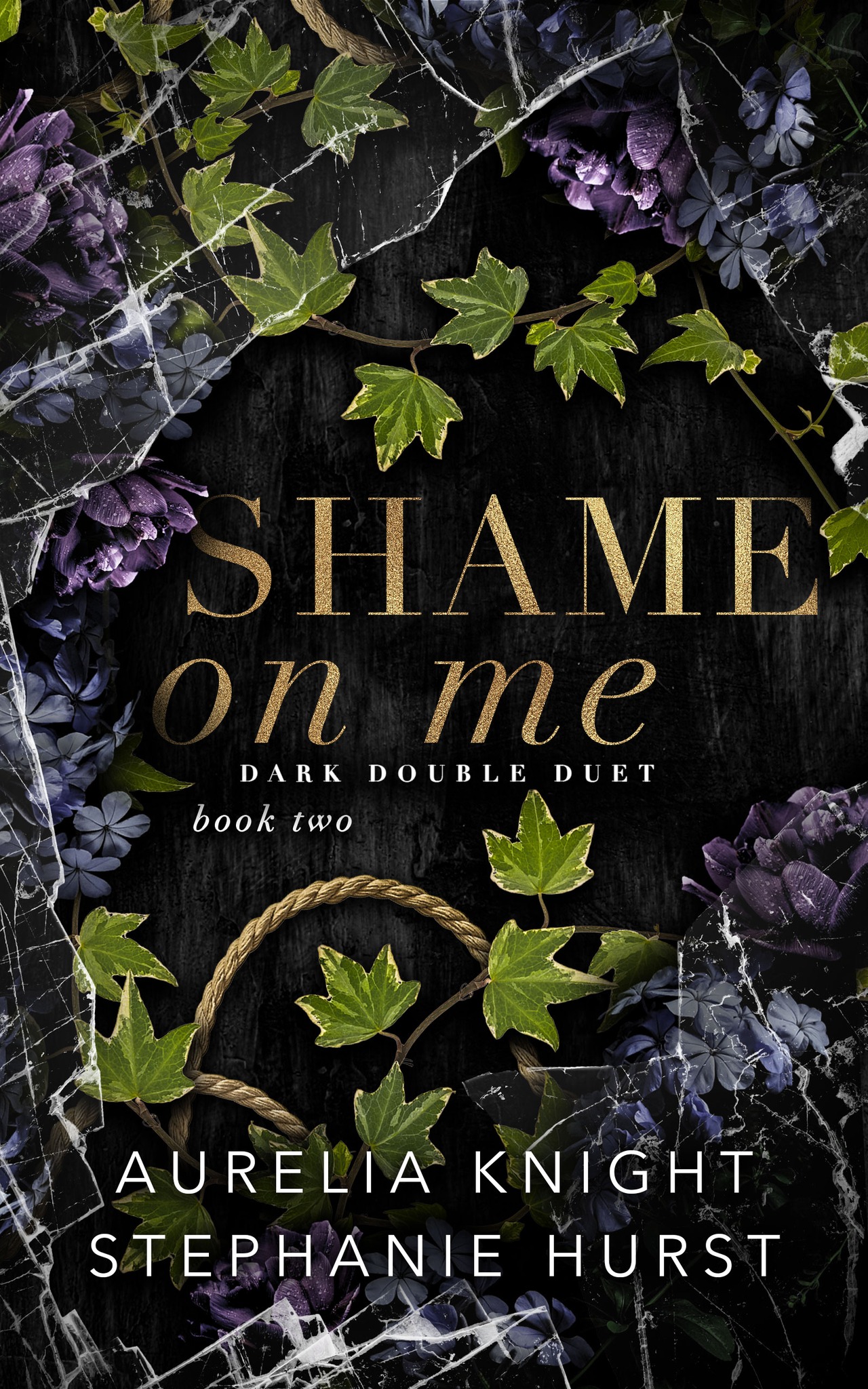 Shame on Me book cover