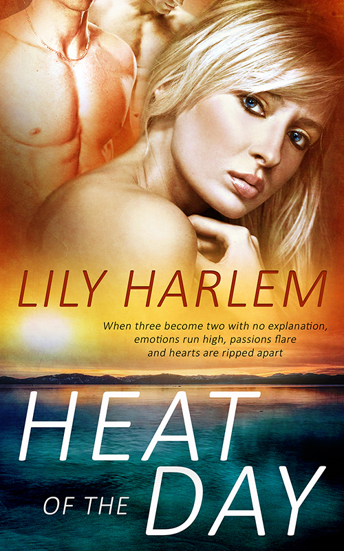 Heat of the Day book cover