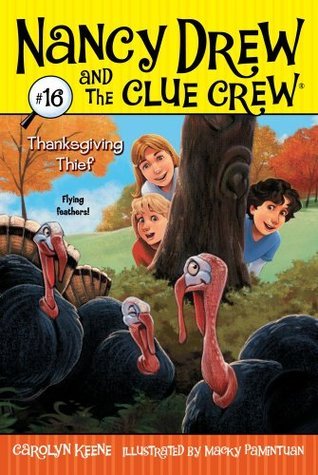 Thanksgiving Thief book cover