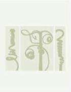 Karl Blossfeldt book cover