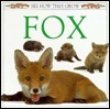 Fox book cover
