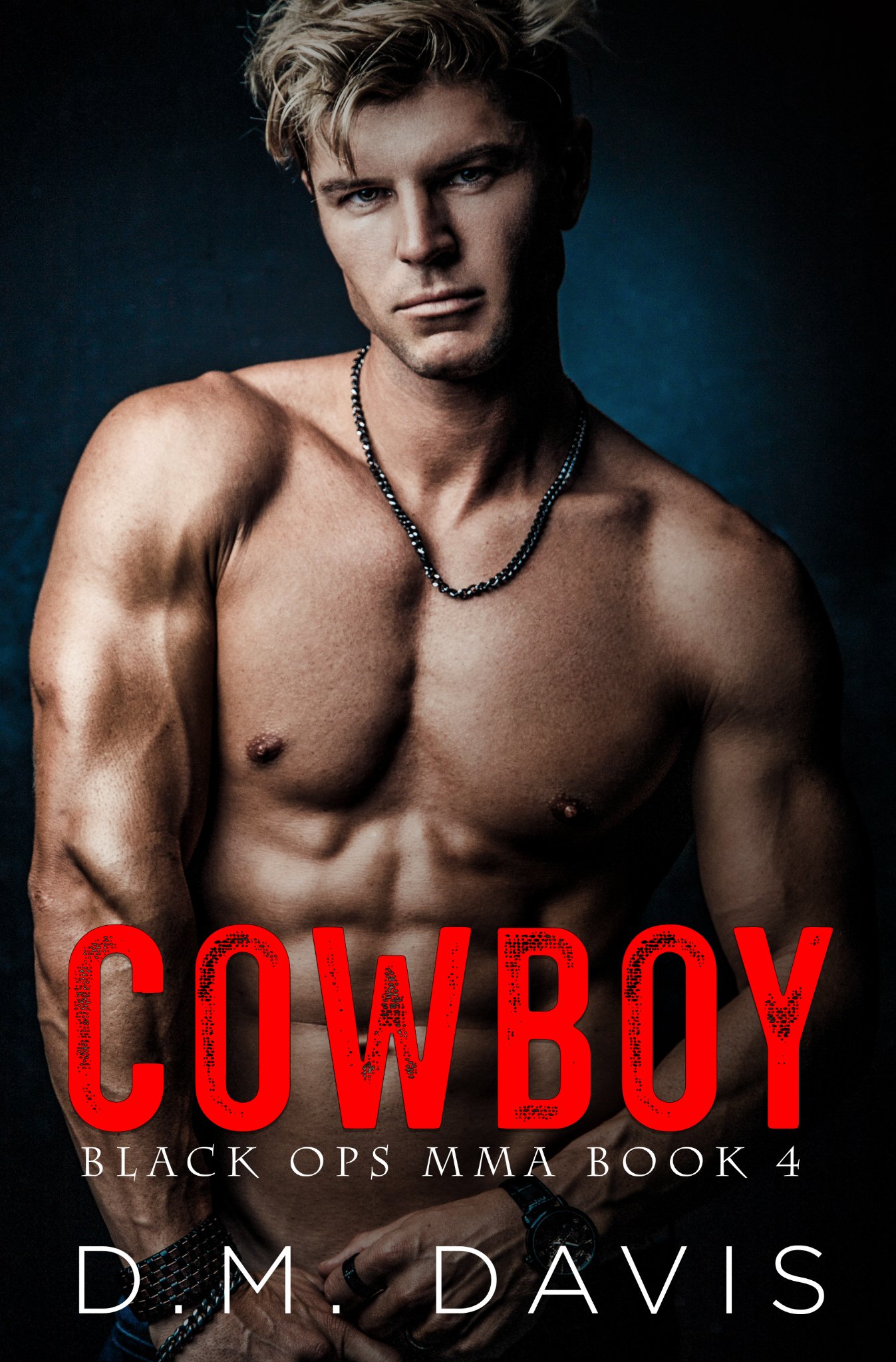 Cowboy book cover
