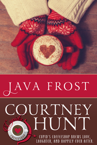 Java Frost book cover