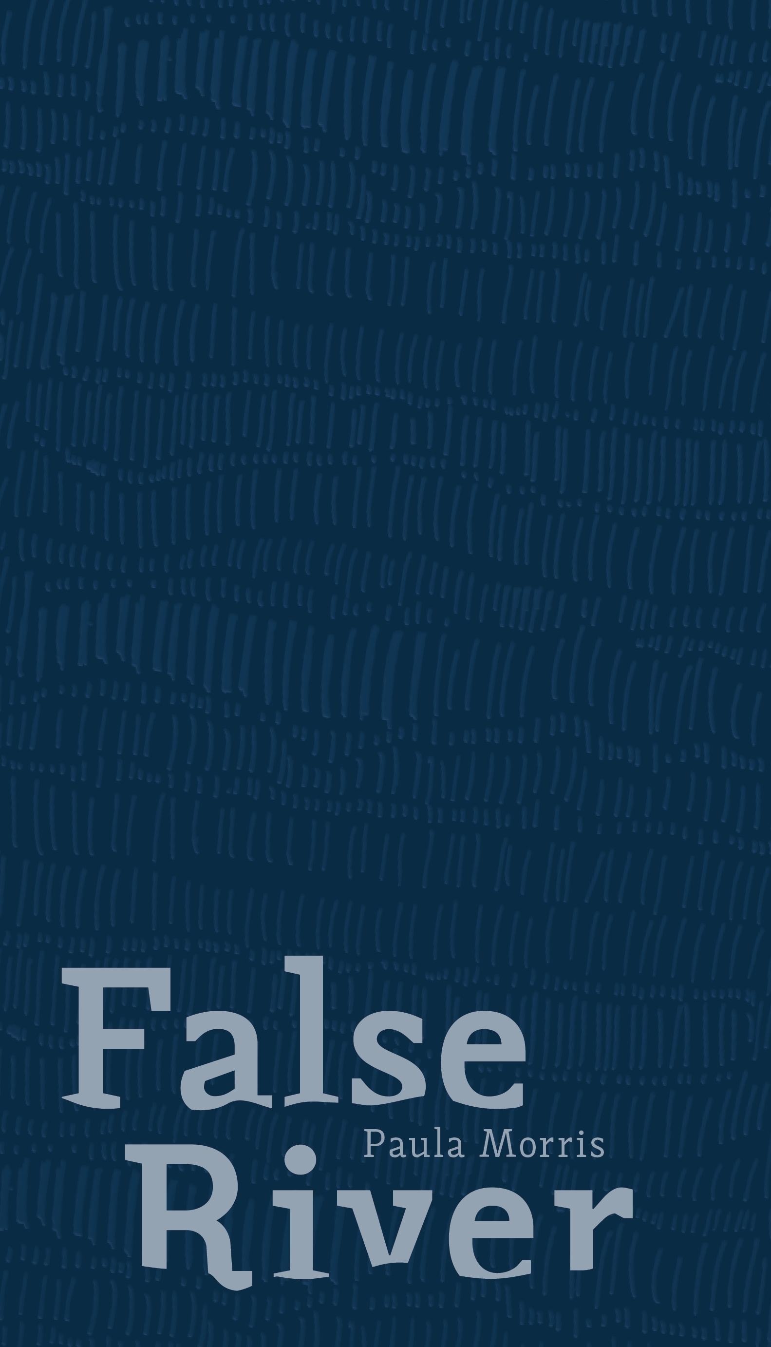 False River book cover