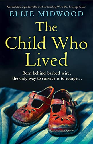 The Child Who Lived book cover