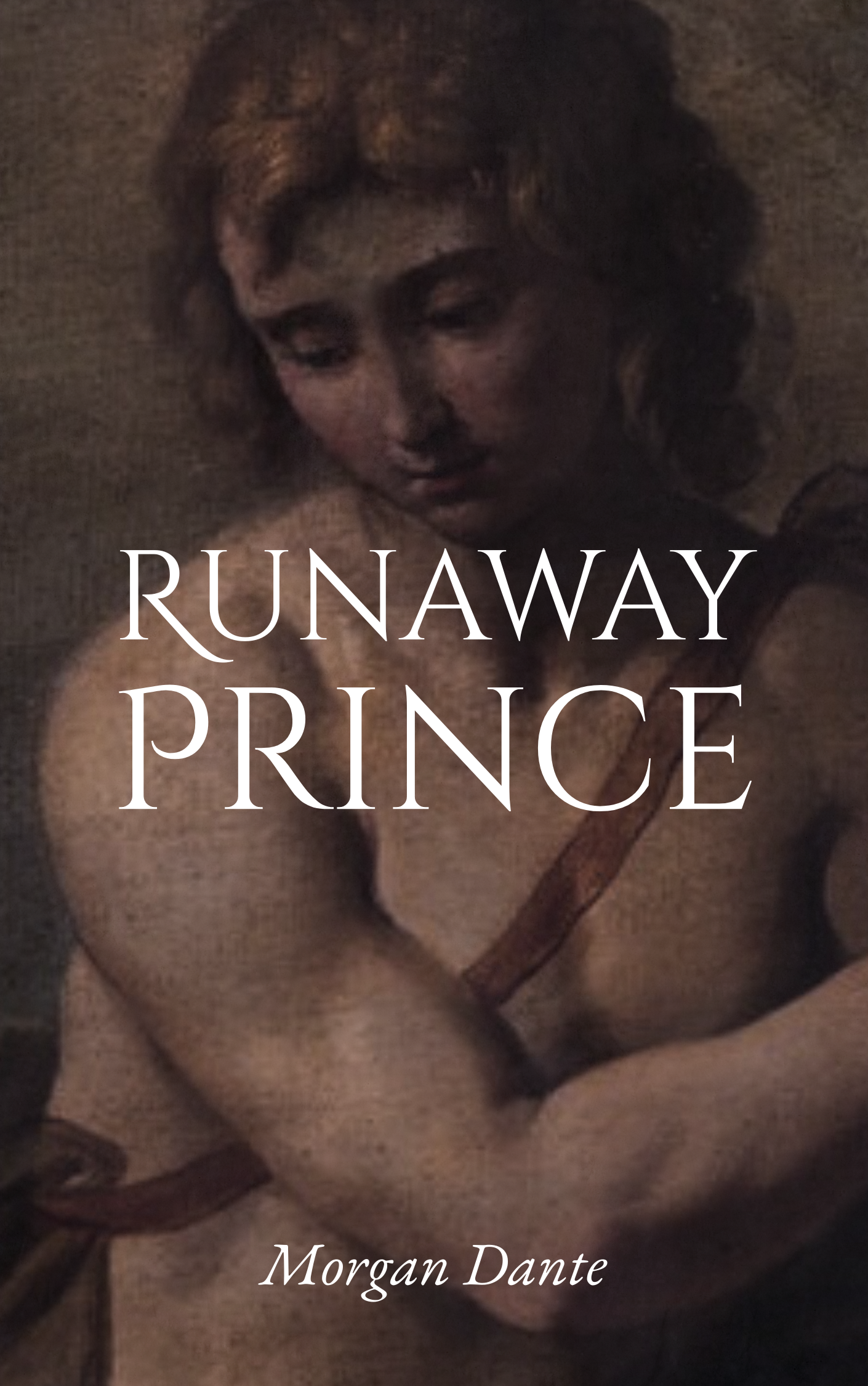 Runaway Prince book cover