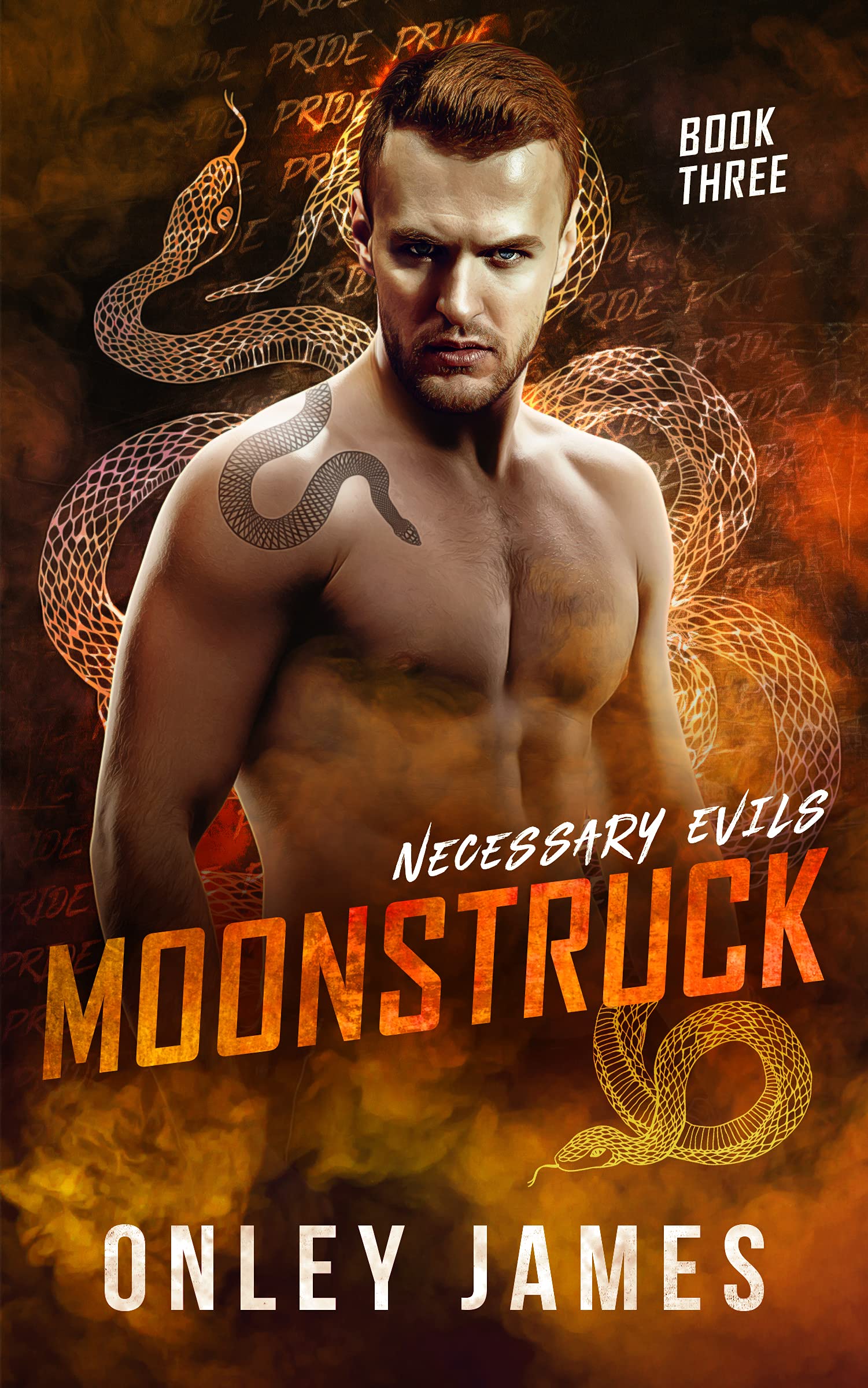 Necessary Evils book cover 3