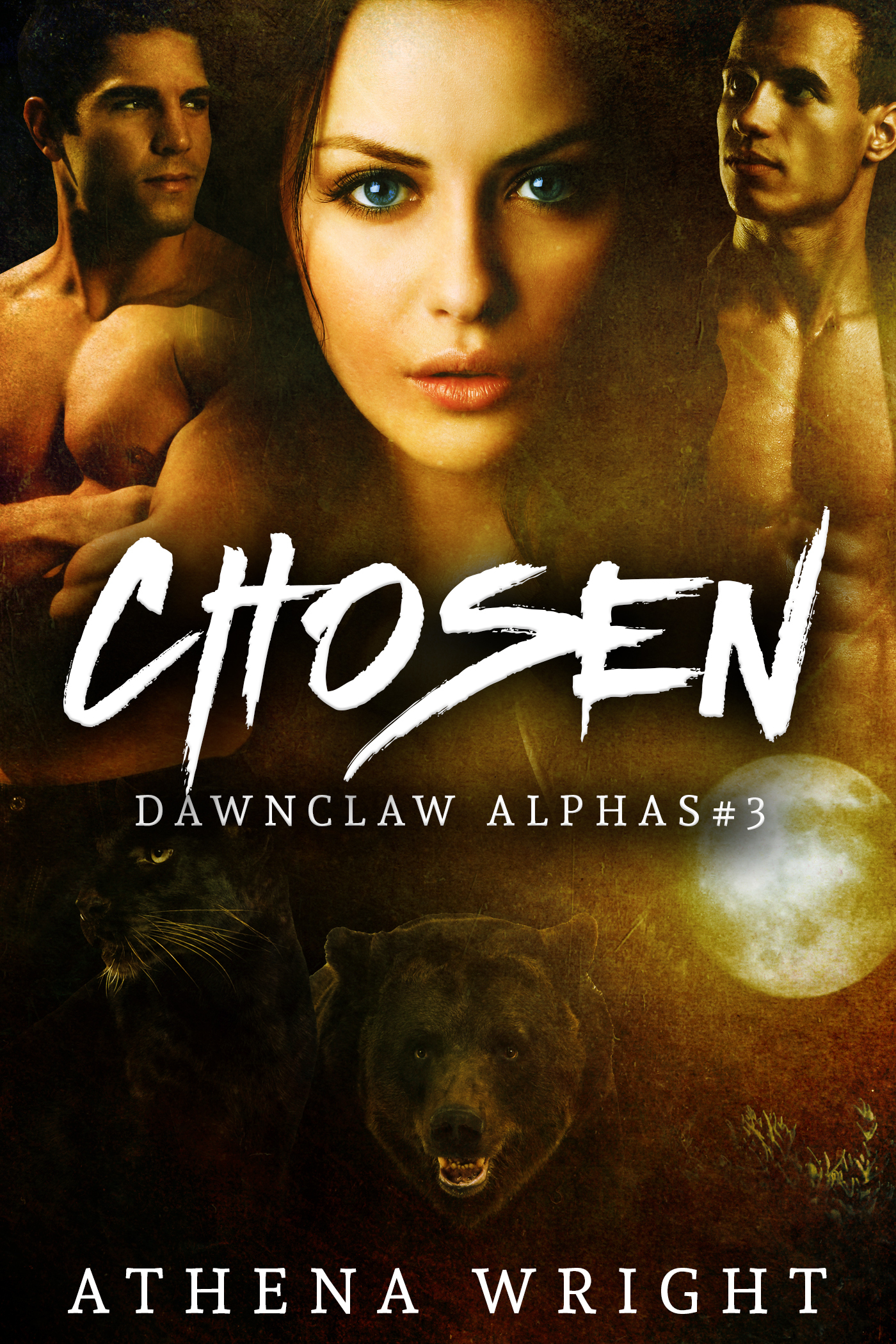 Dawnclaw Alphas book cover 2