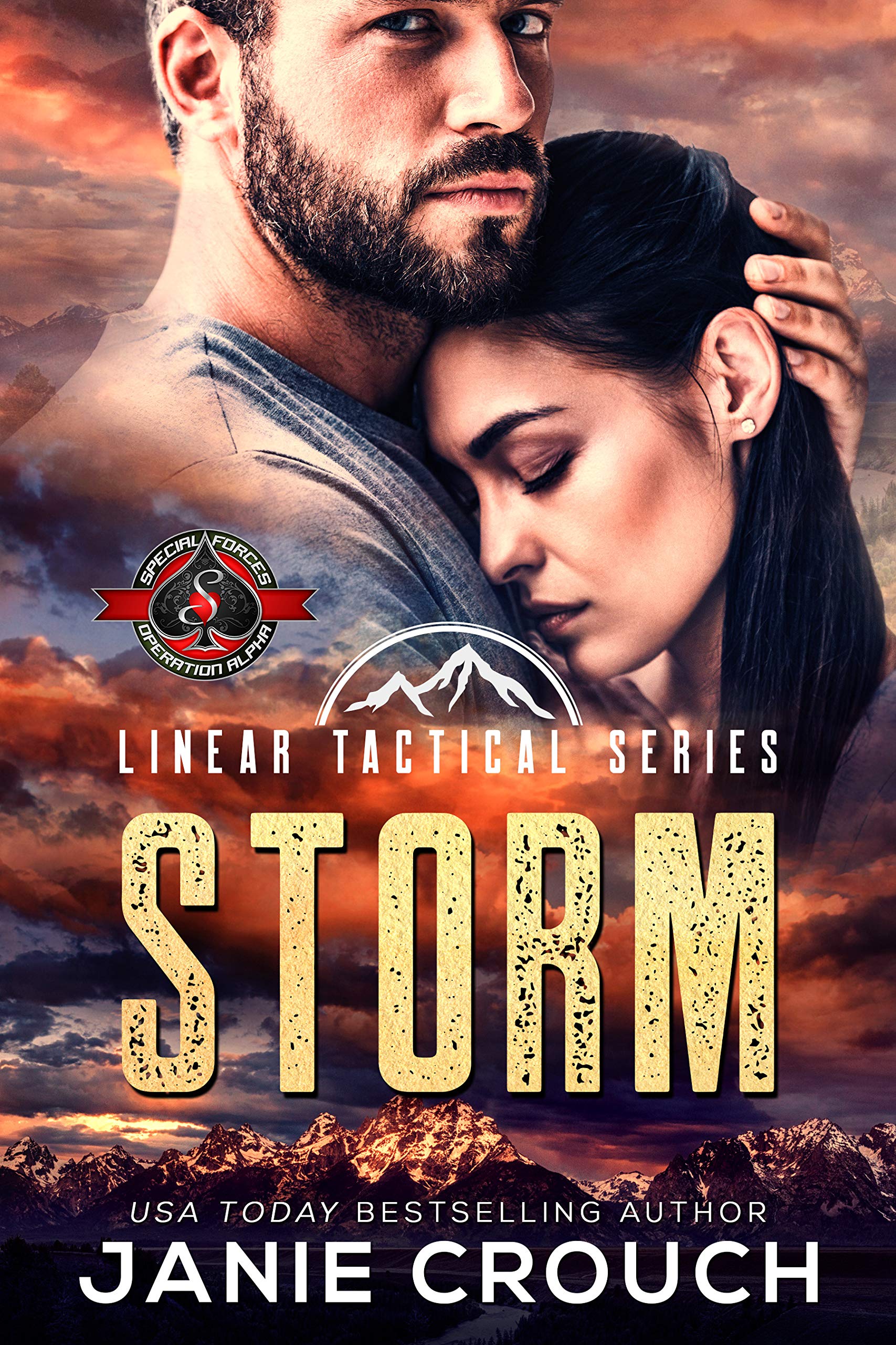 Storm book cover