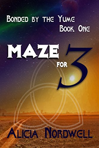 Maze for Three book cover