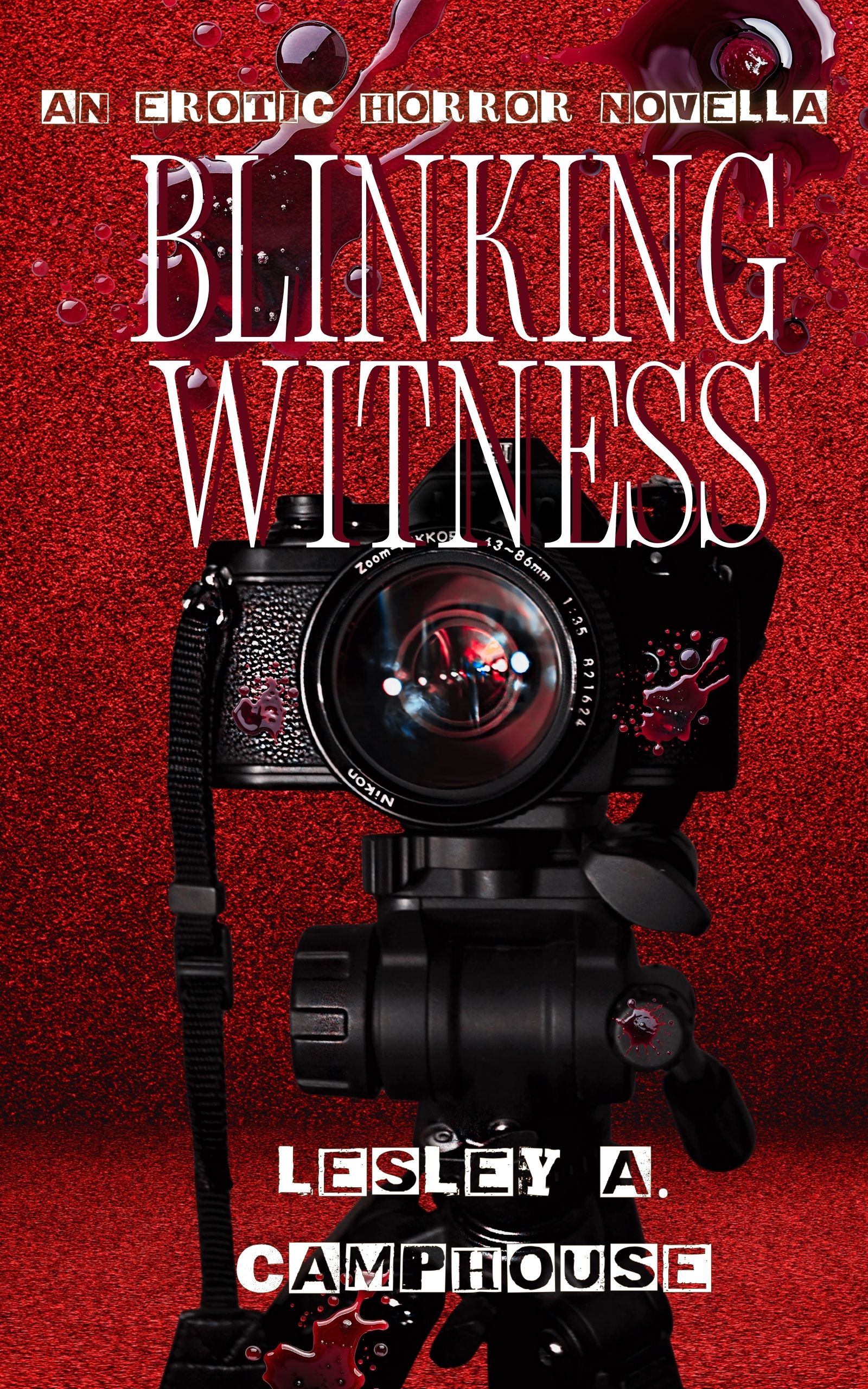 Blinking Witness book cover