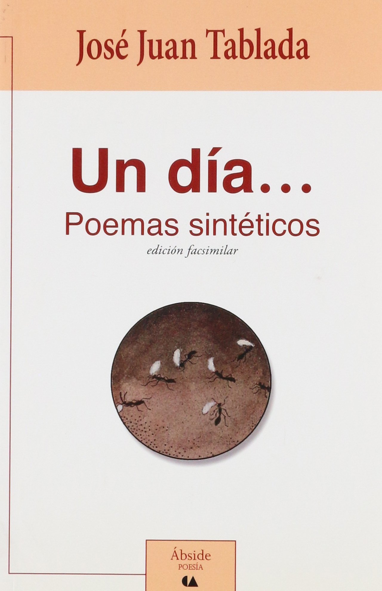 Un día... Poemas sintéticos book cover