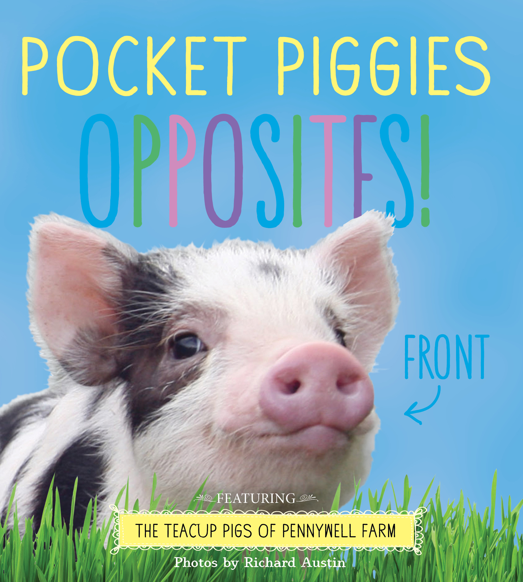 Pocket Piggies Opposites! book cover
