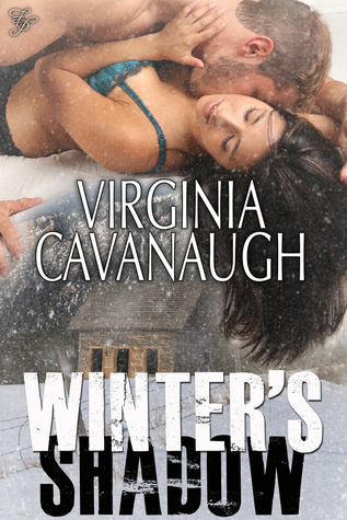 Winter's Shadow book cover