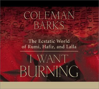 I Want Burning book cover