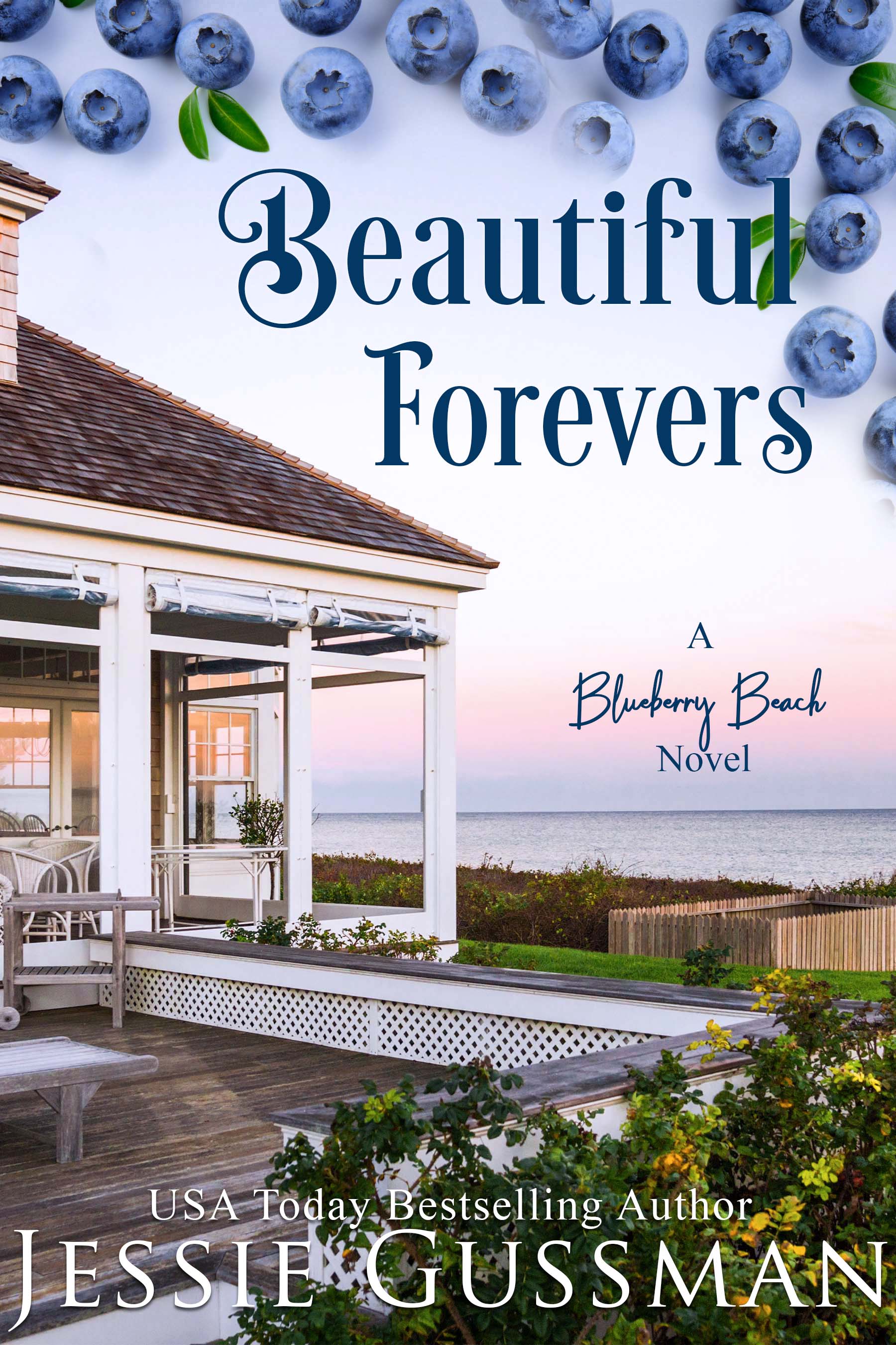 Blueberry Beach book cover 3