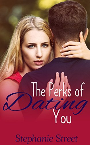 Perks book cover 1