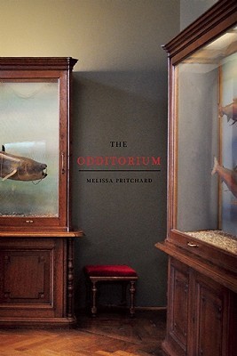 The Odditorium book cover