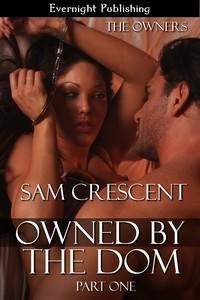 The Owners book cover 3