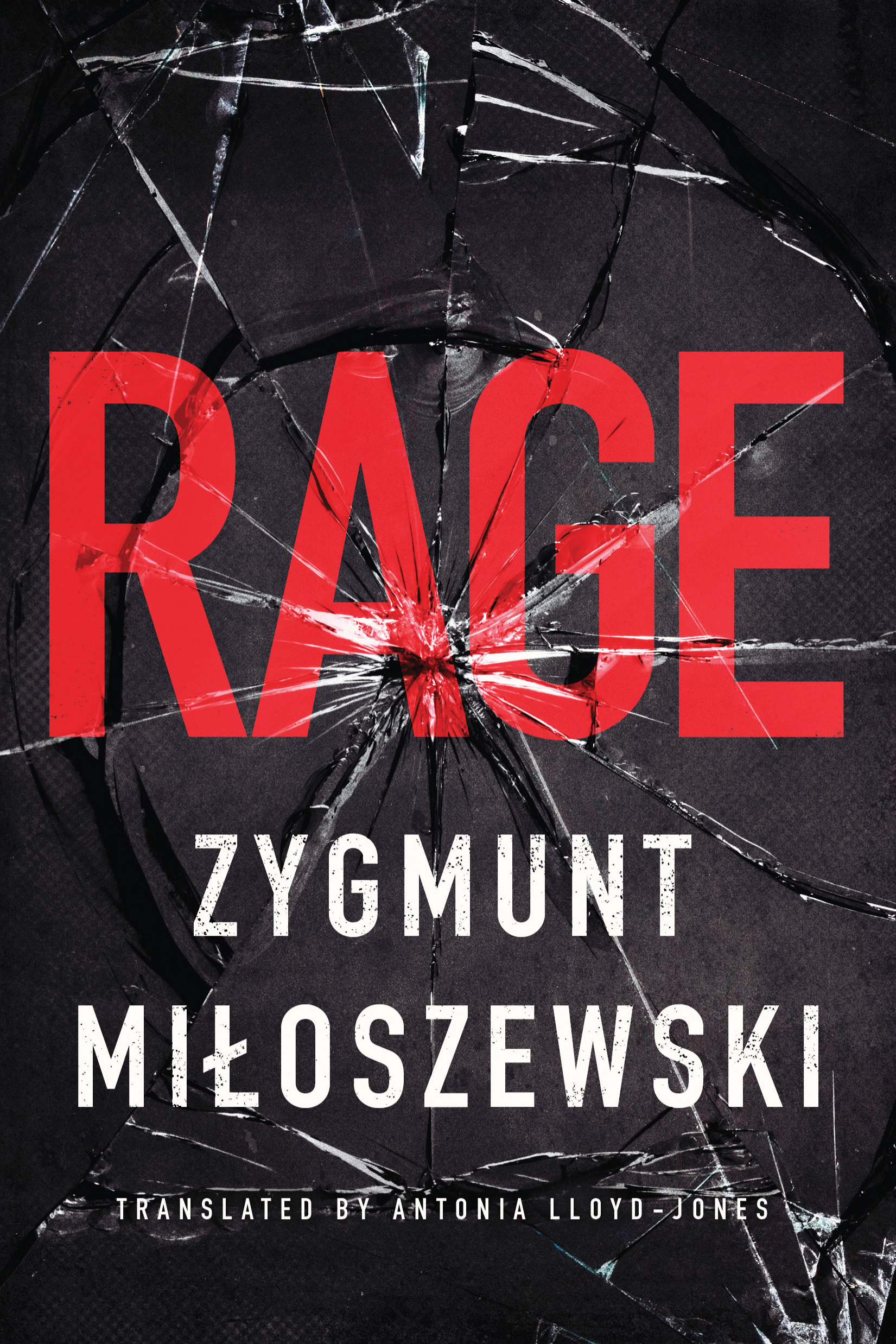 Rage book cover