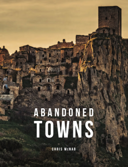 Abandoned Towns book cover
