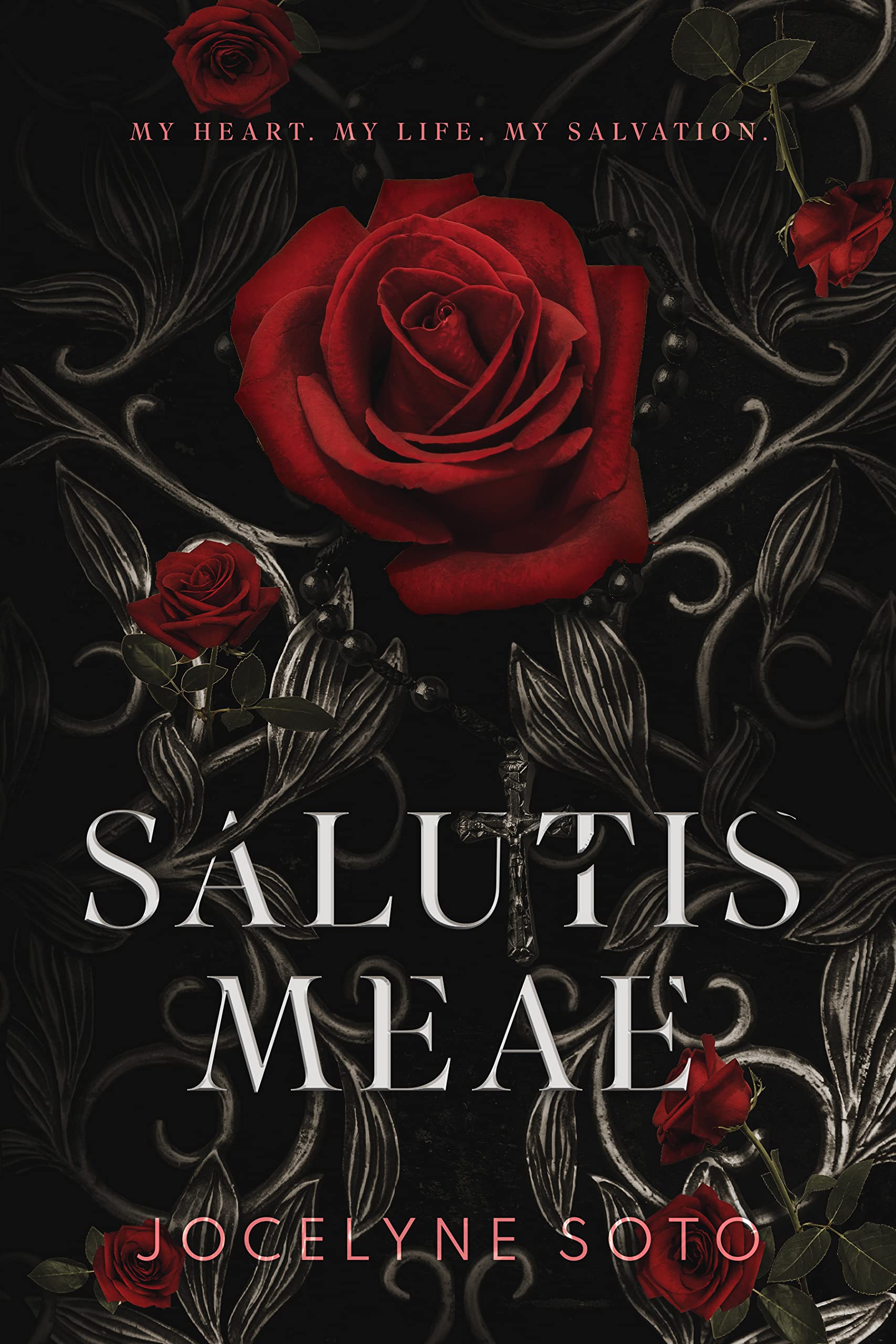 Salutis Meae book cover