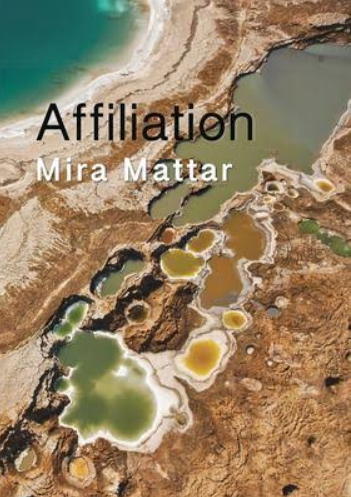 Affiliation book cover