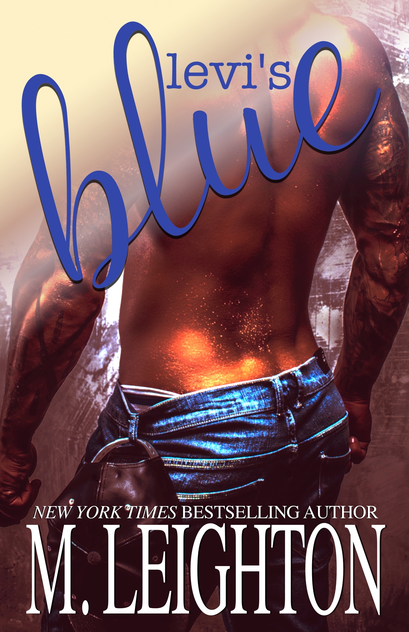 Levi's Blue book cover