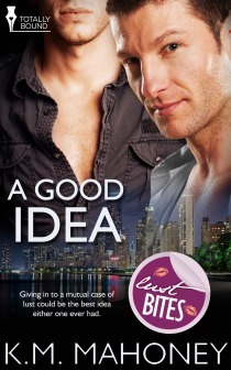 A Good Idea book cover