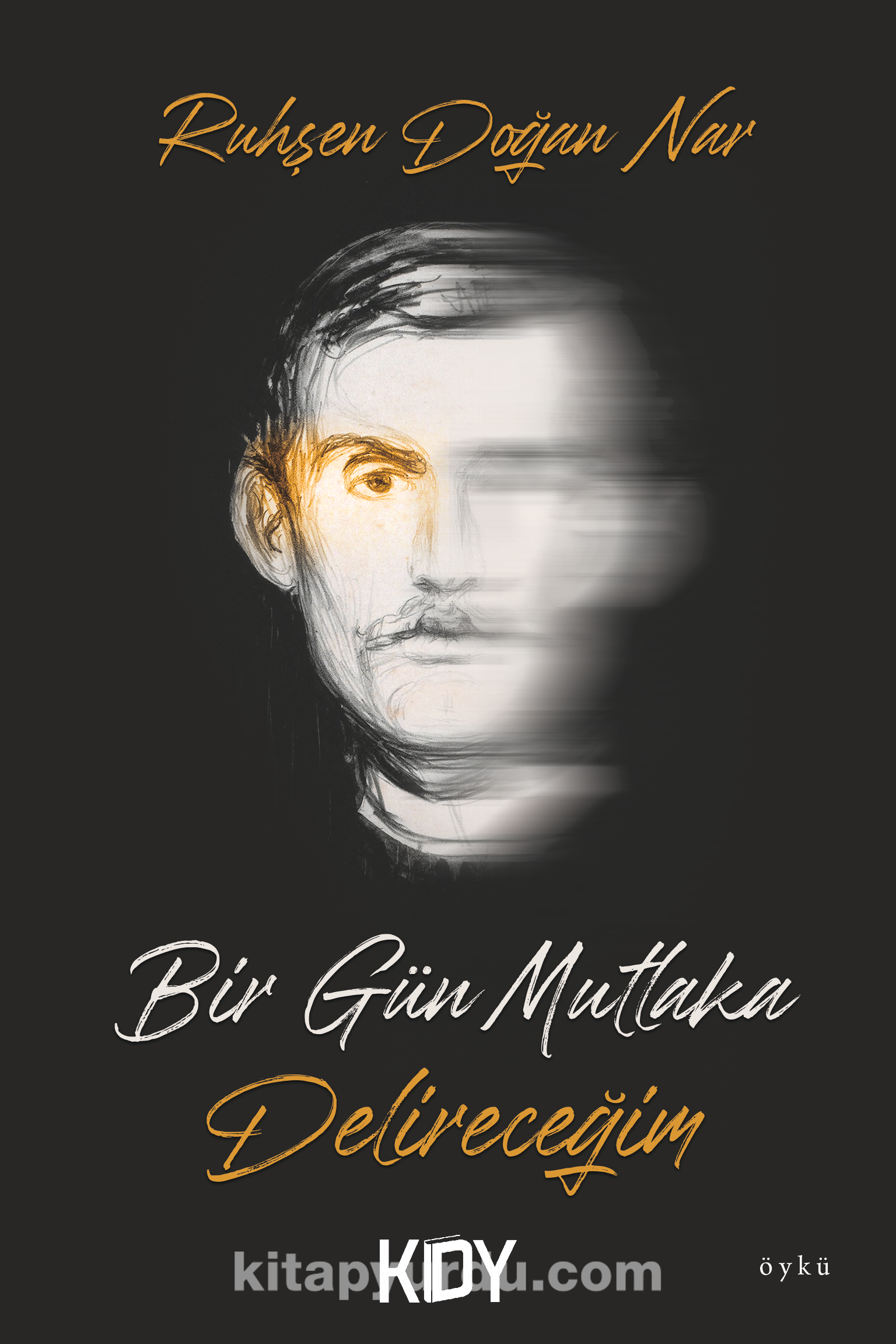 Bir Gün Mutlaka Delireceğim book cover
