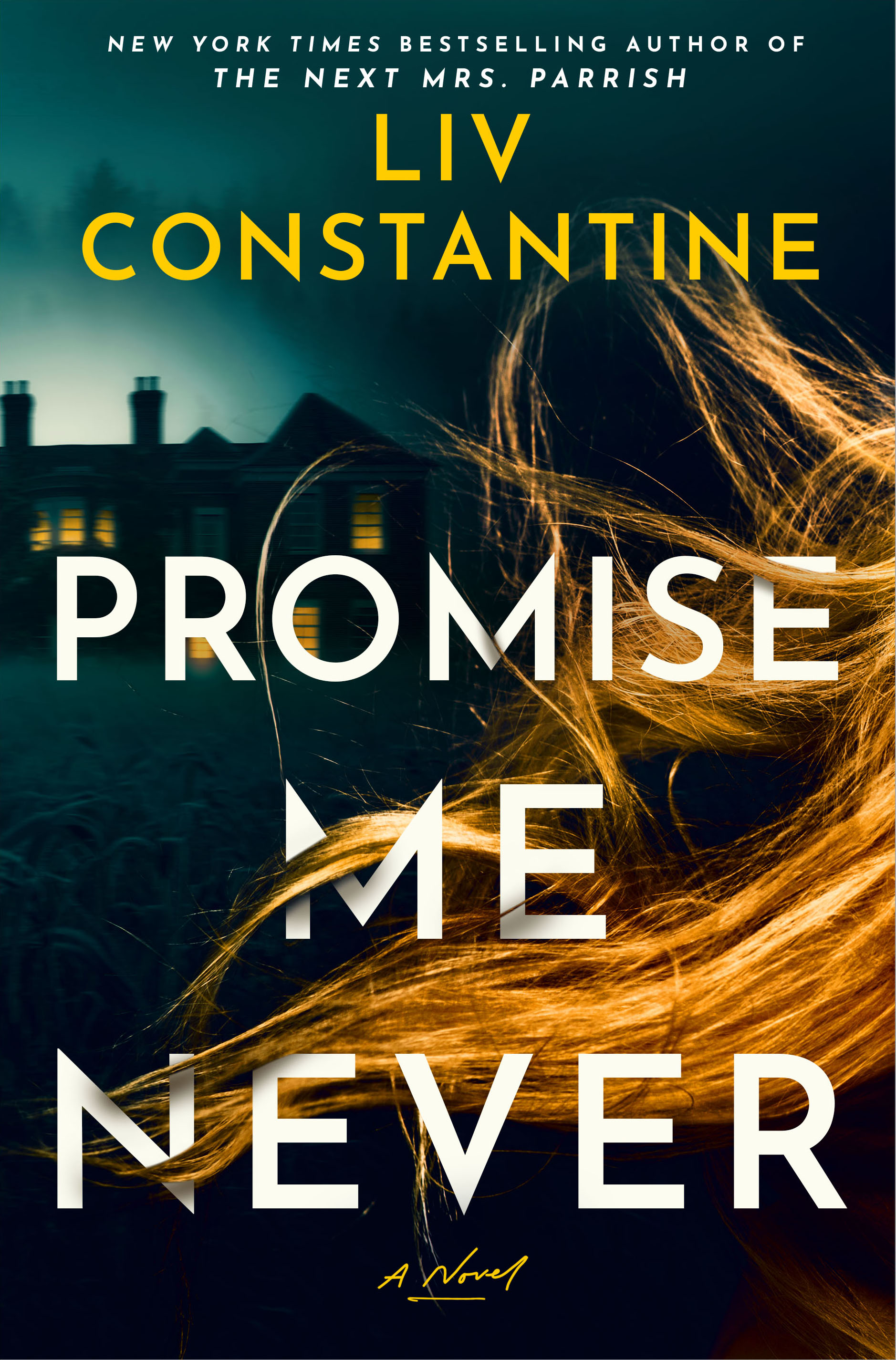 Promise Me Never book cover