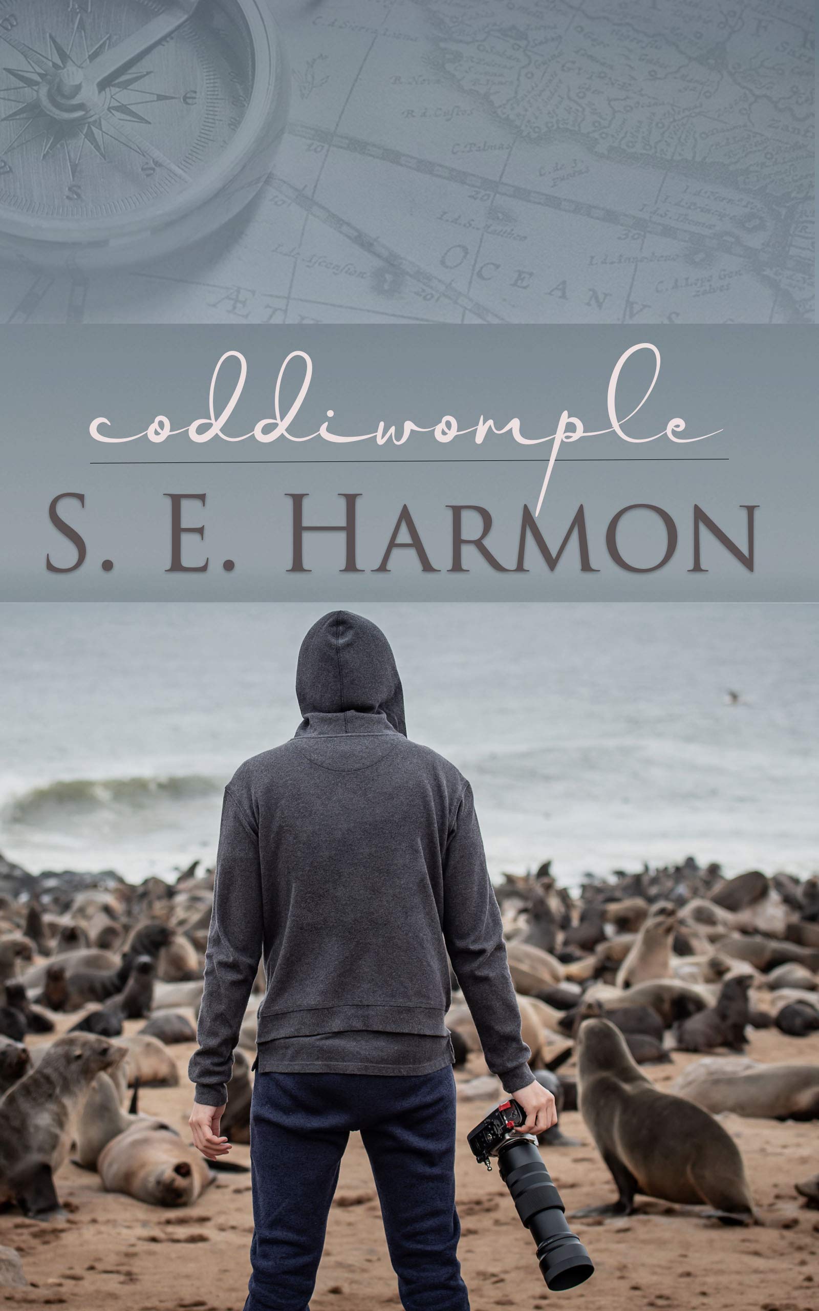 Coddiwomple book cover
