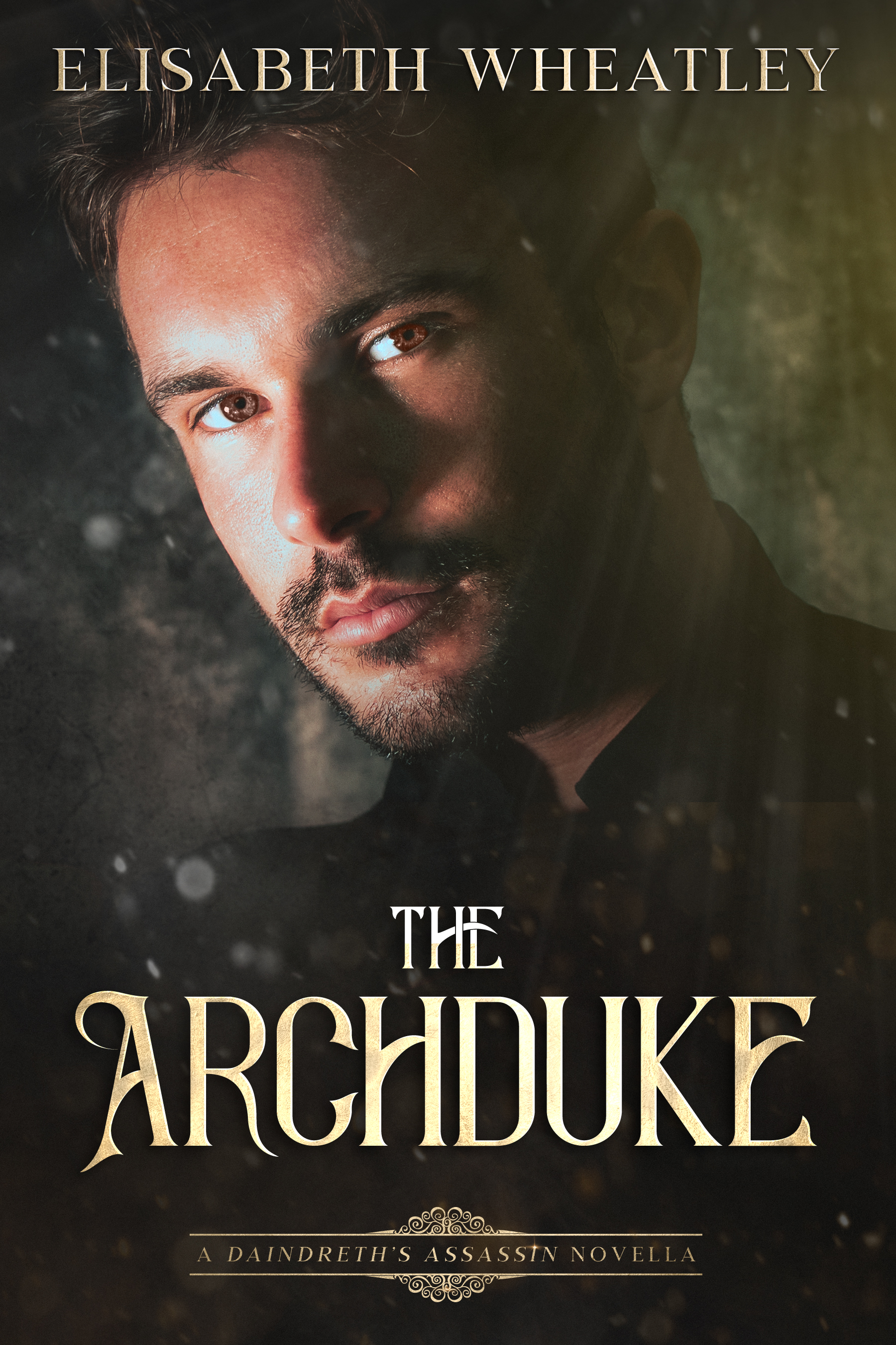 The Archduke book cover