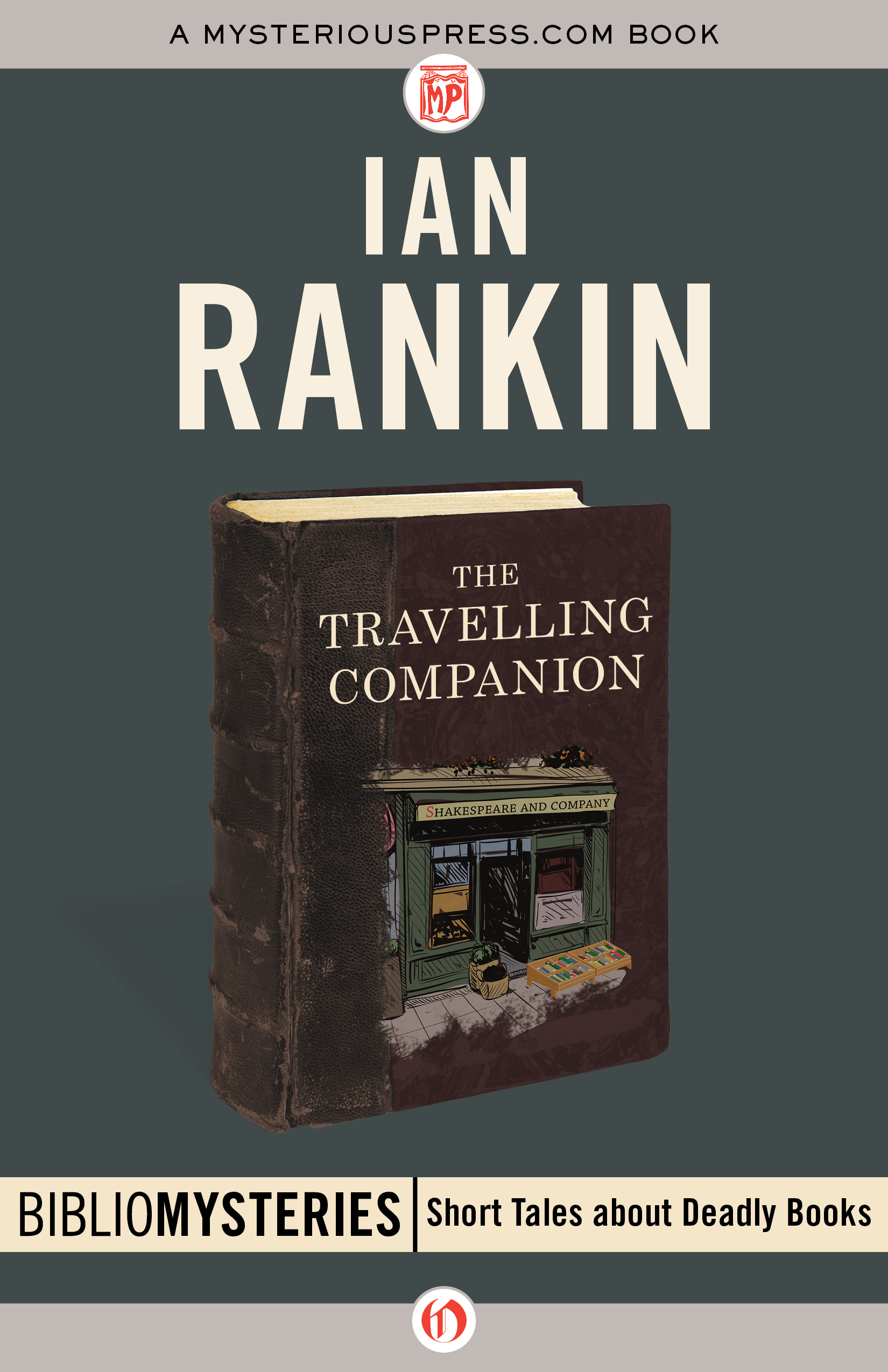 The Travelling Companion book cover