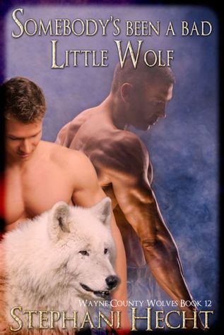 Somebody's Been a Bad Little Wolf book cover