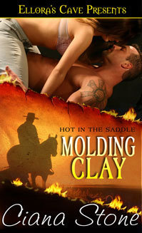 Hot in the Saddle book cover 2