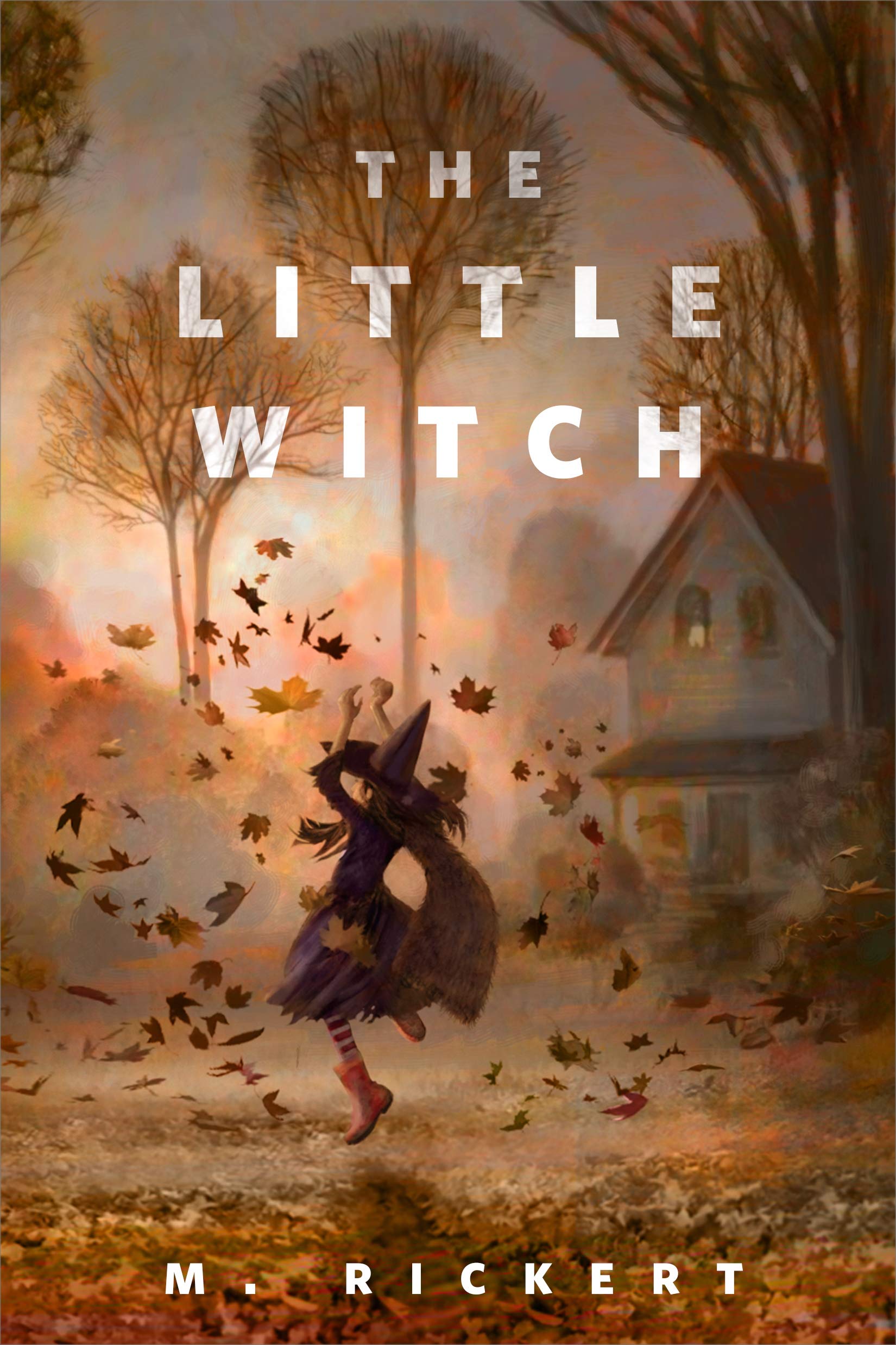 The Little Witch book cover
