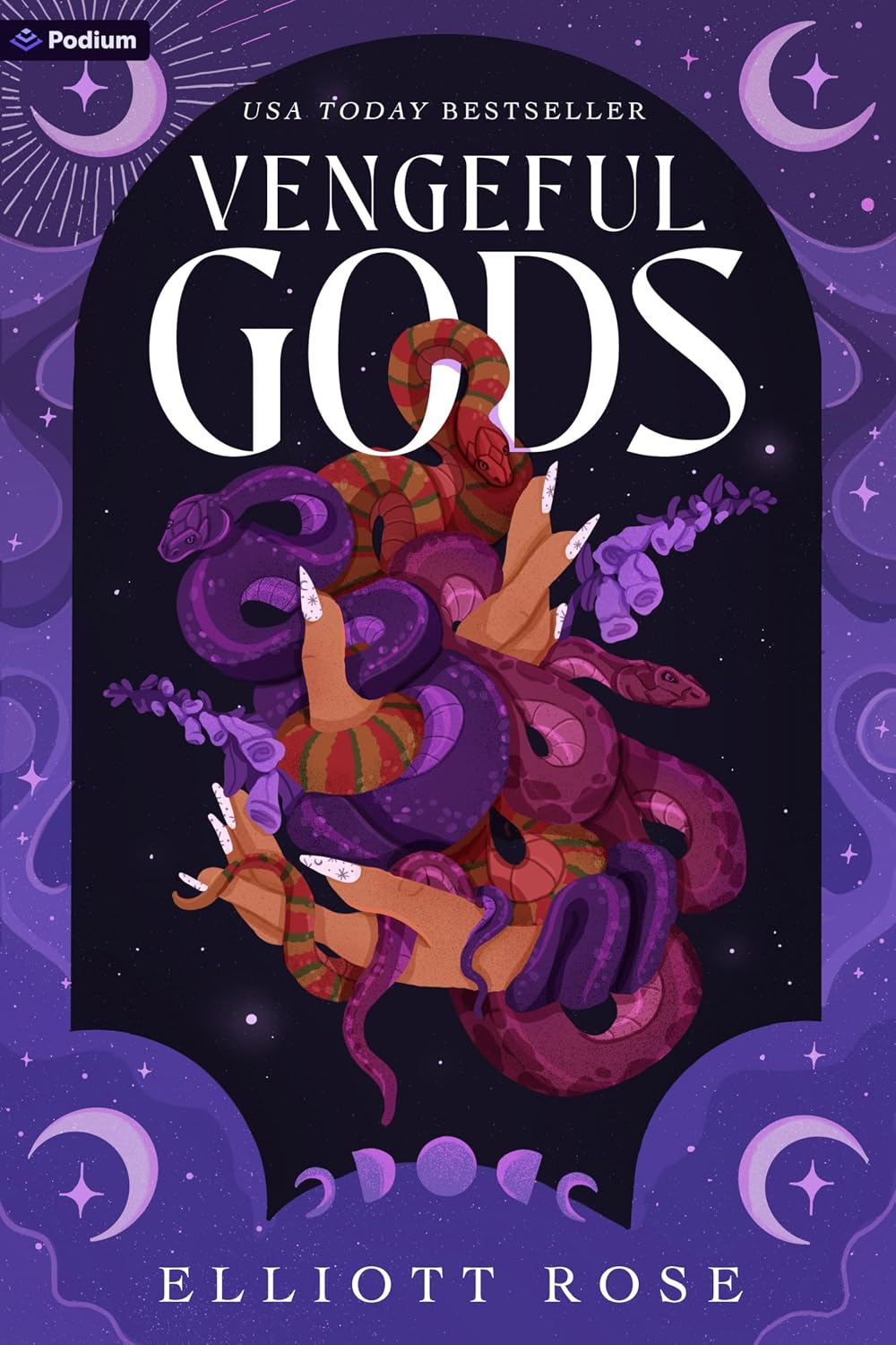 Vengeful Gods book cover
