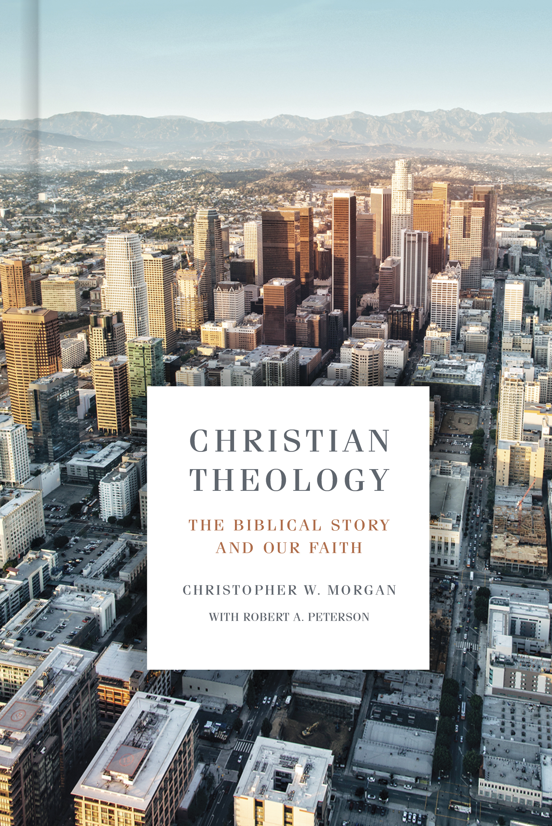 Christian Theology book cover