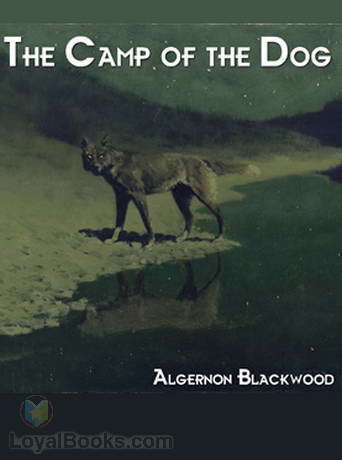 The Camp of the Dog book cover