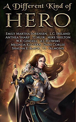 A Different Kind of Hero book cover