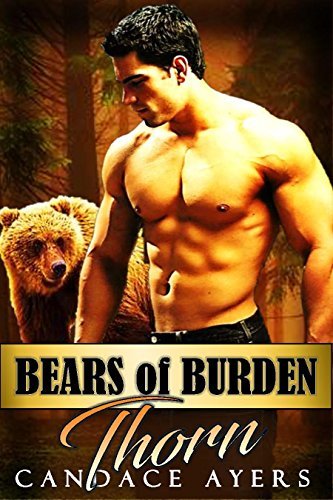 Bears of Burden book cover 1