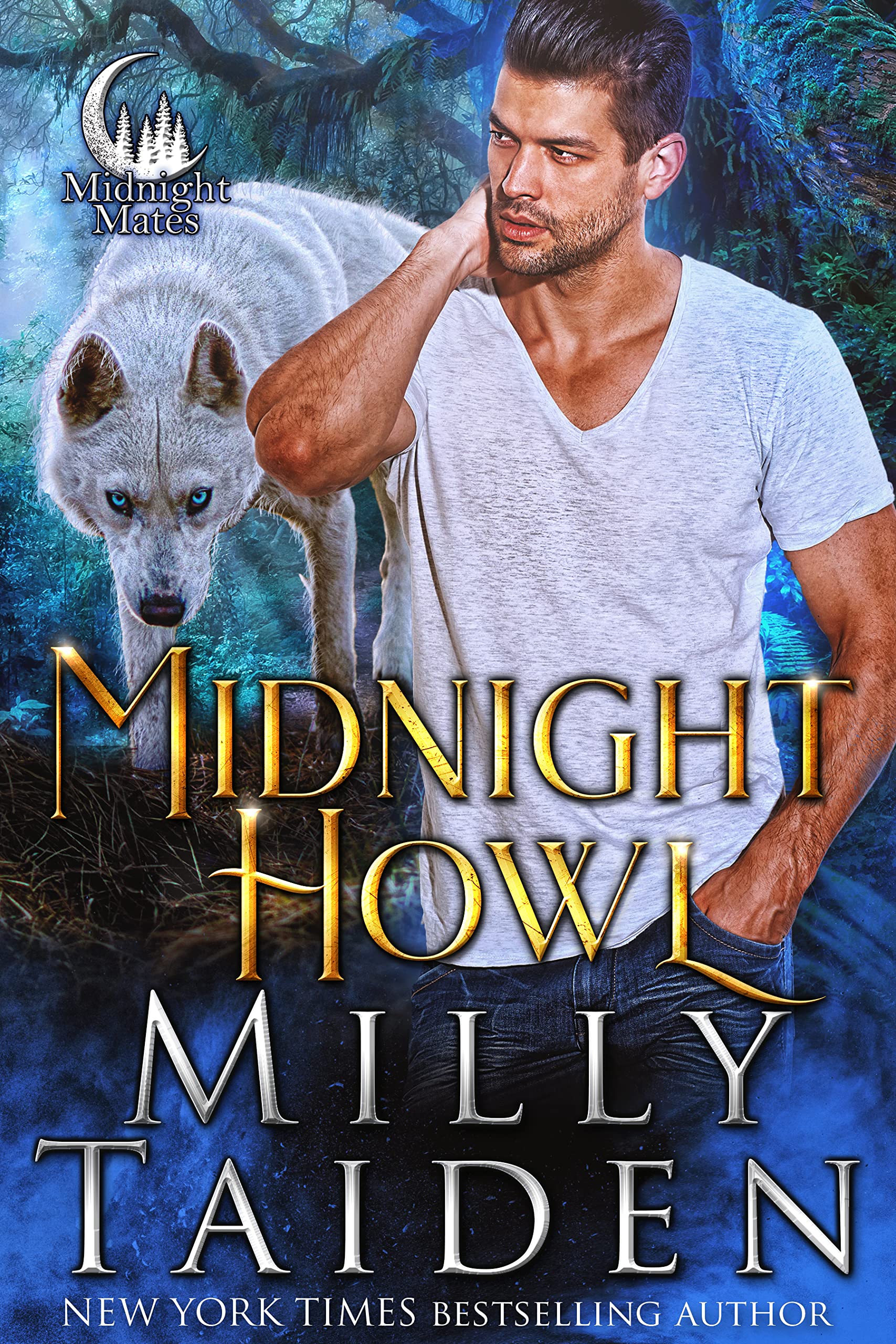 Midnight Mates book cover 1
