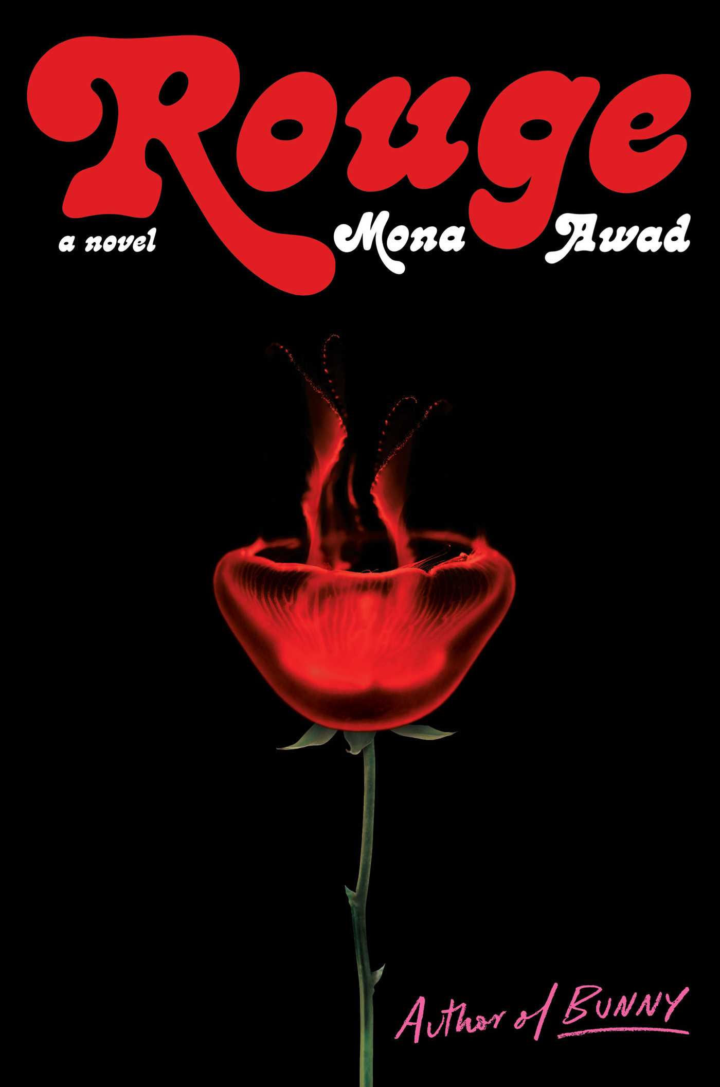 Rouge book cover
