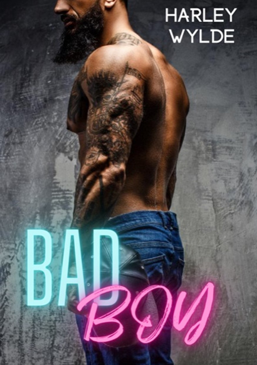 Bad Boy book cover